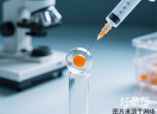 试管婴儿备孕饮食指南：科学搭配提高受孕成功率